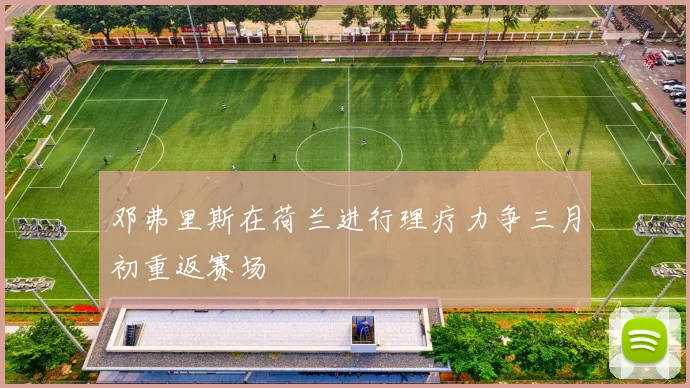 邓弗里斯在荷兰进行理疗力争三月初重返赛场